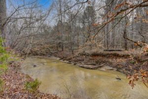 Creek 3