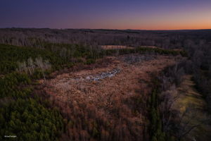 Swamp Area Virtual Twilight