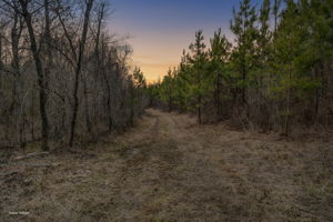 Road 2 Virtual Twilight