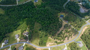 Photo 0
