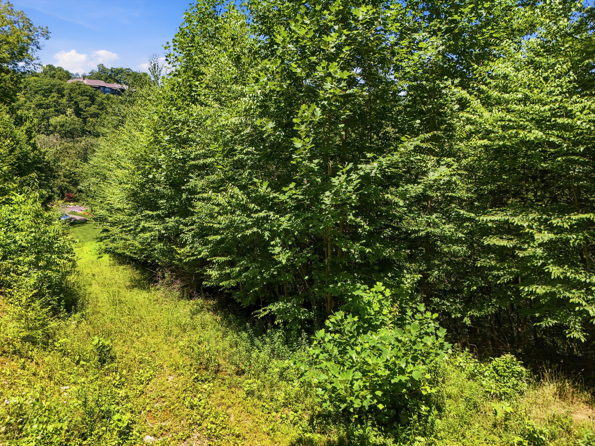 DJI_20260716011133_0851_D