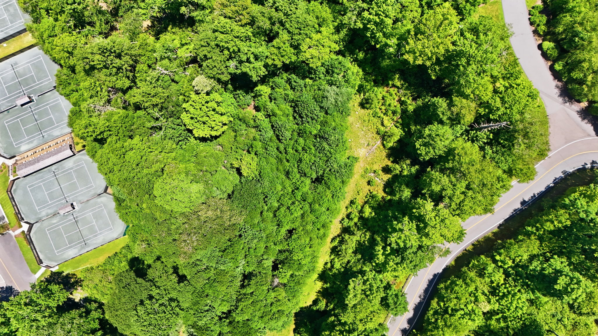DJI_20260716012436_0890_D