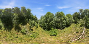 DJI_20260716011204_0853_D
