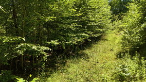 DJI_20260716012656_0893_D