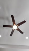  Photo 45