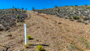  Photo 0