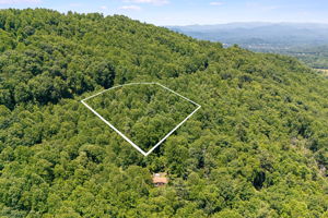 Lot 16