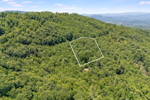 Lot 16
