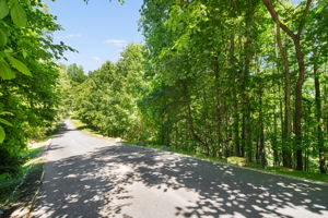 Lot 17 road frontage
