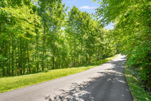 Lot 17 road frontage