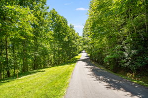 Lot 17 road frontage
