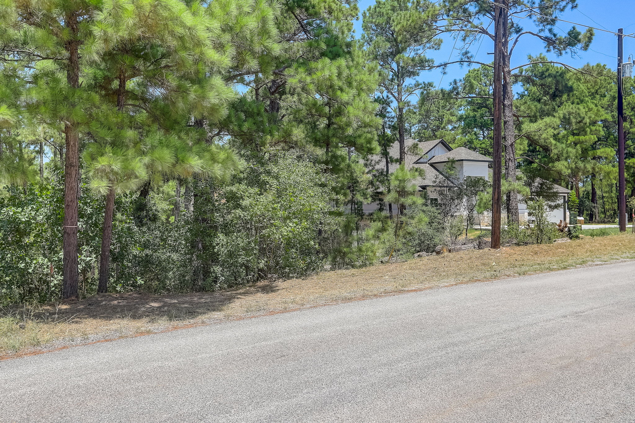 Briar Forest Dr-002