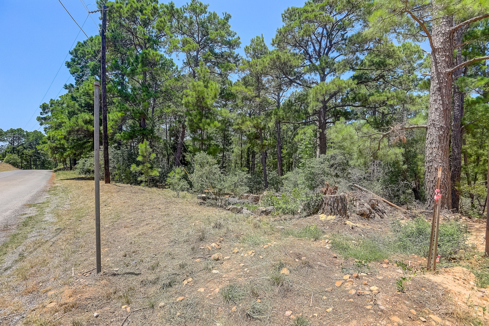 Briar Forest Dr-006