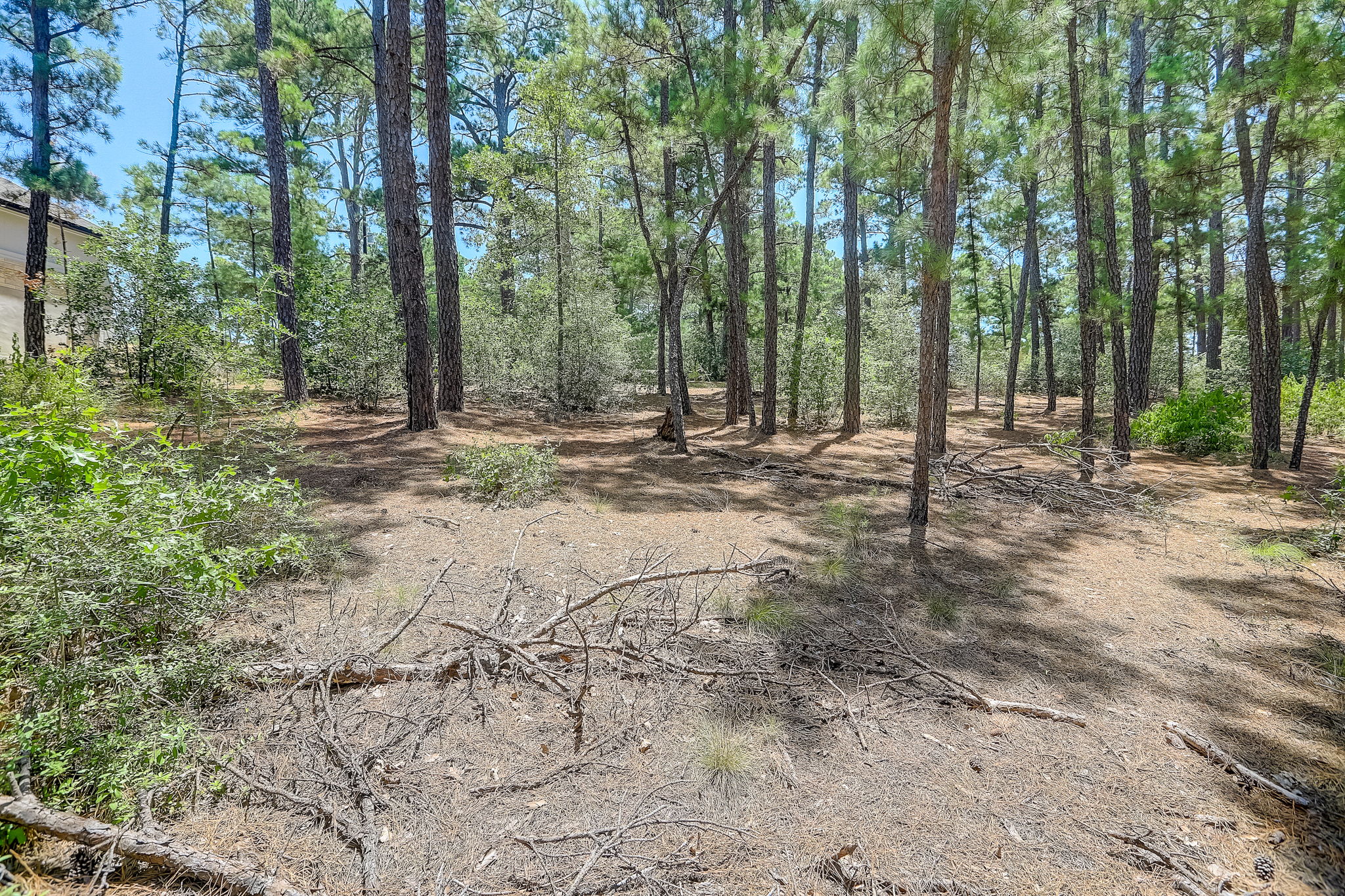Briar Forest Dr-011