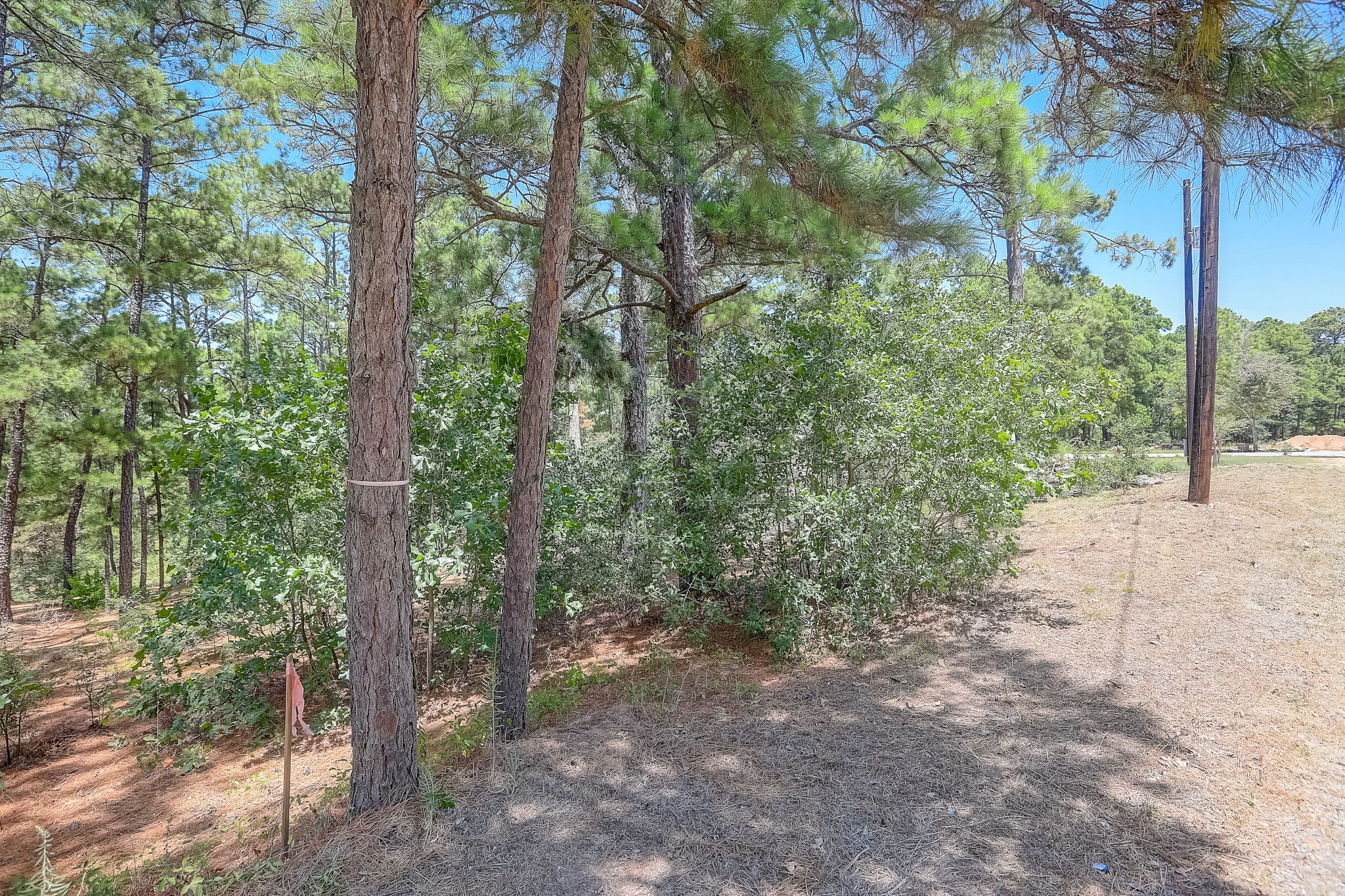 Briar Forest Dr-003