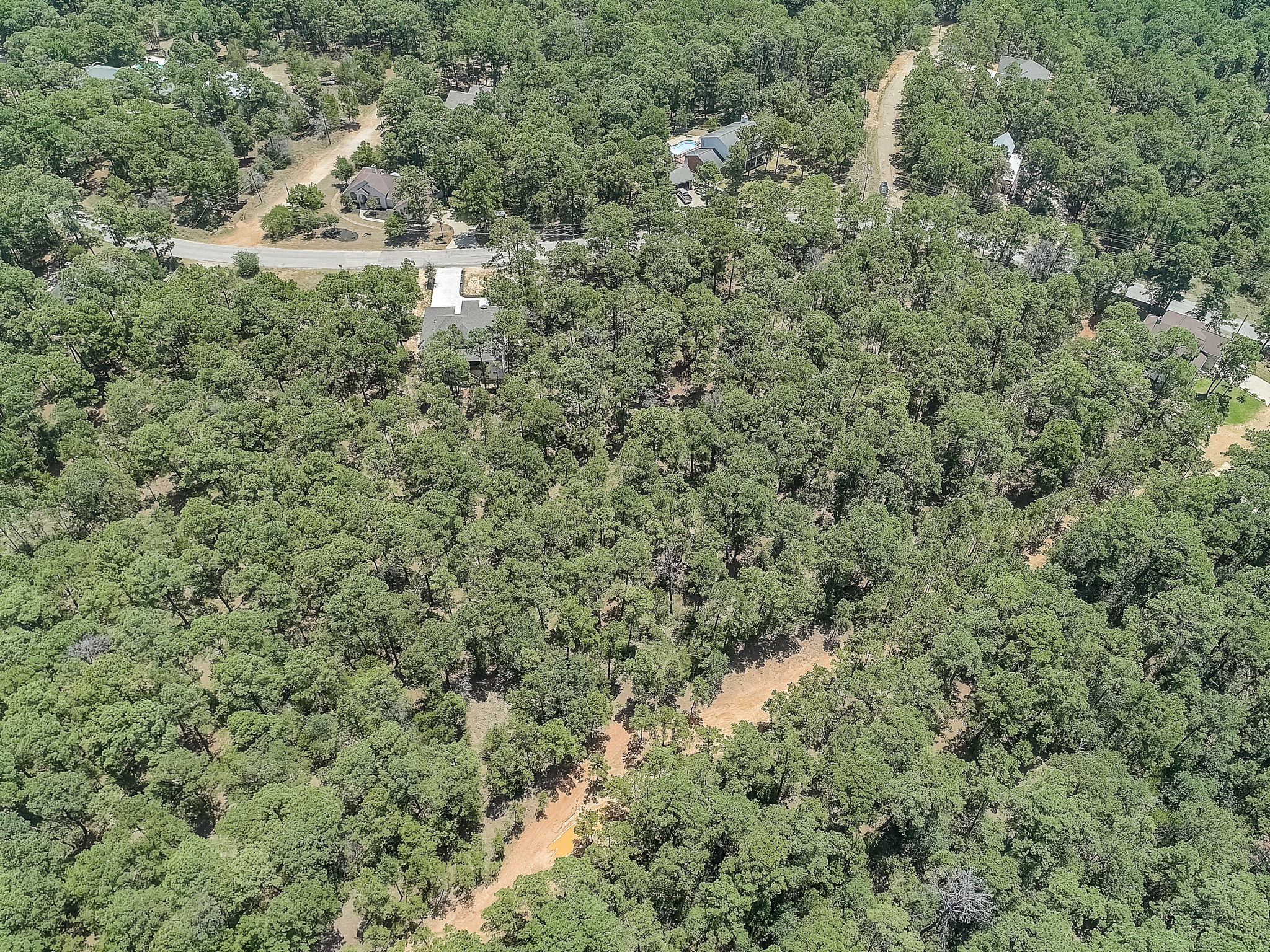 Briar Forest Dr-019