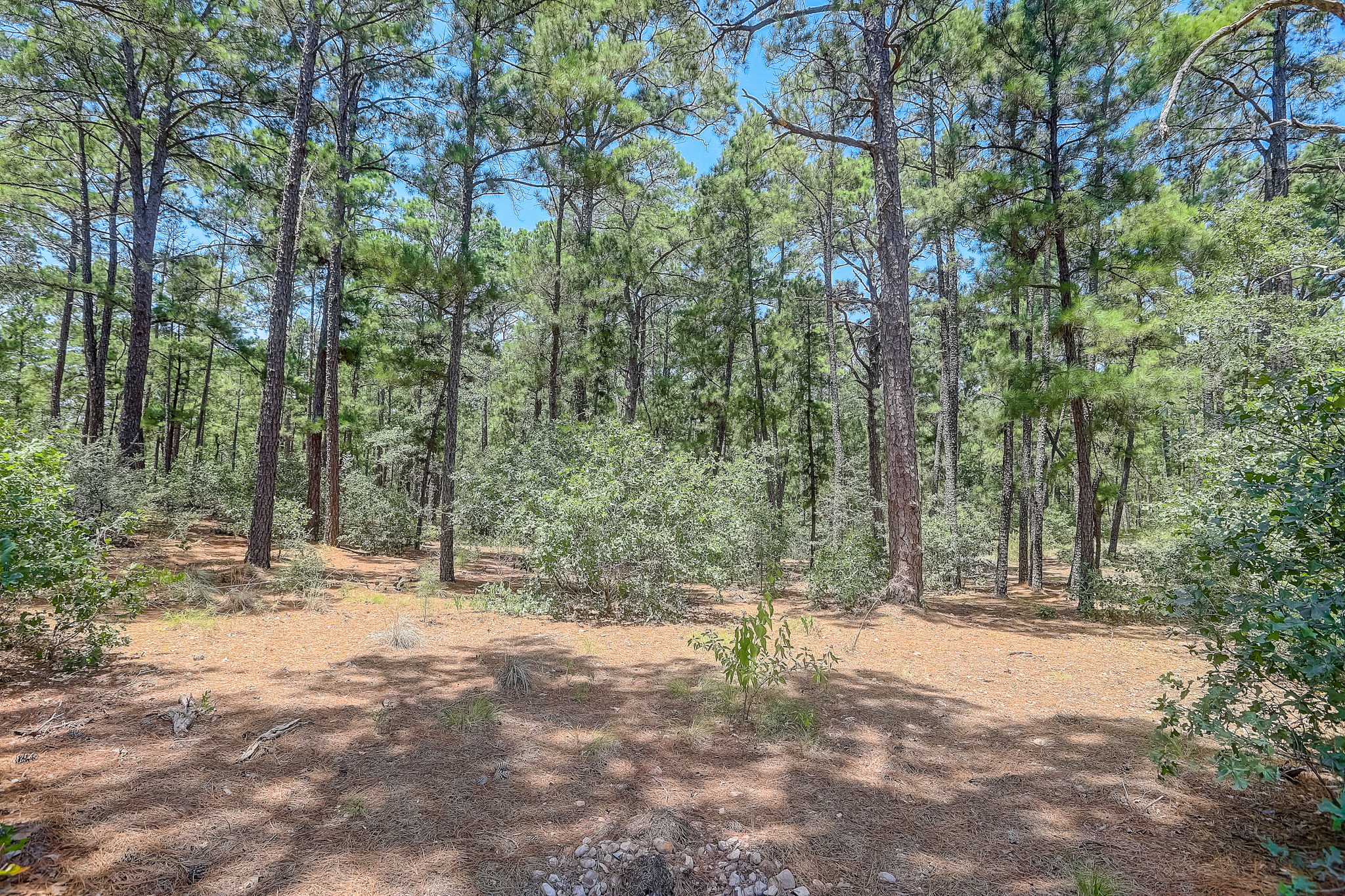 Briar Forest Dr-007