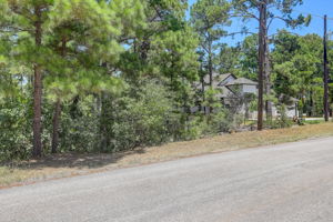 Briar Forest Dr-002