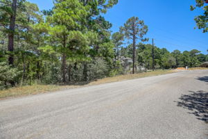 Briar Forest Dr-001