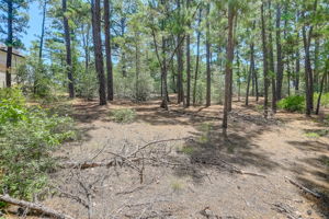 Briar Forest Dr-011