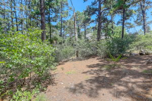 Briar Forest Dr-008