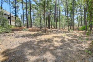 Briar Forest Dr-010
