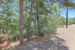 Briar Forest Dr-003