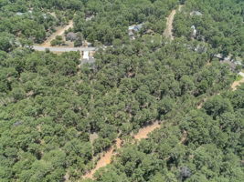 Briar Forest Dr-019