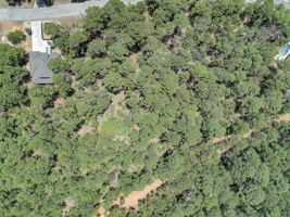 Briar Forest Dr-020
