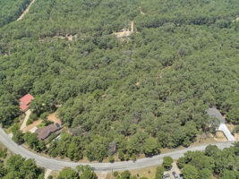 Briar Forest Dr-016