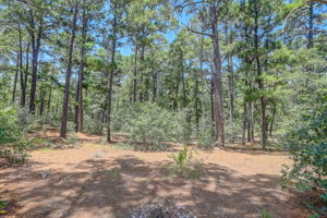 Briar Forest Dr-007