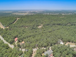Briar Forest Dr-017