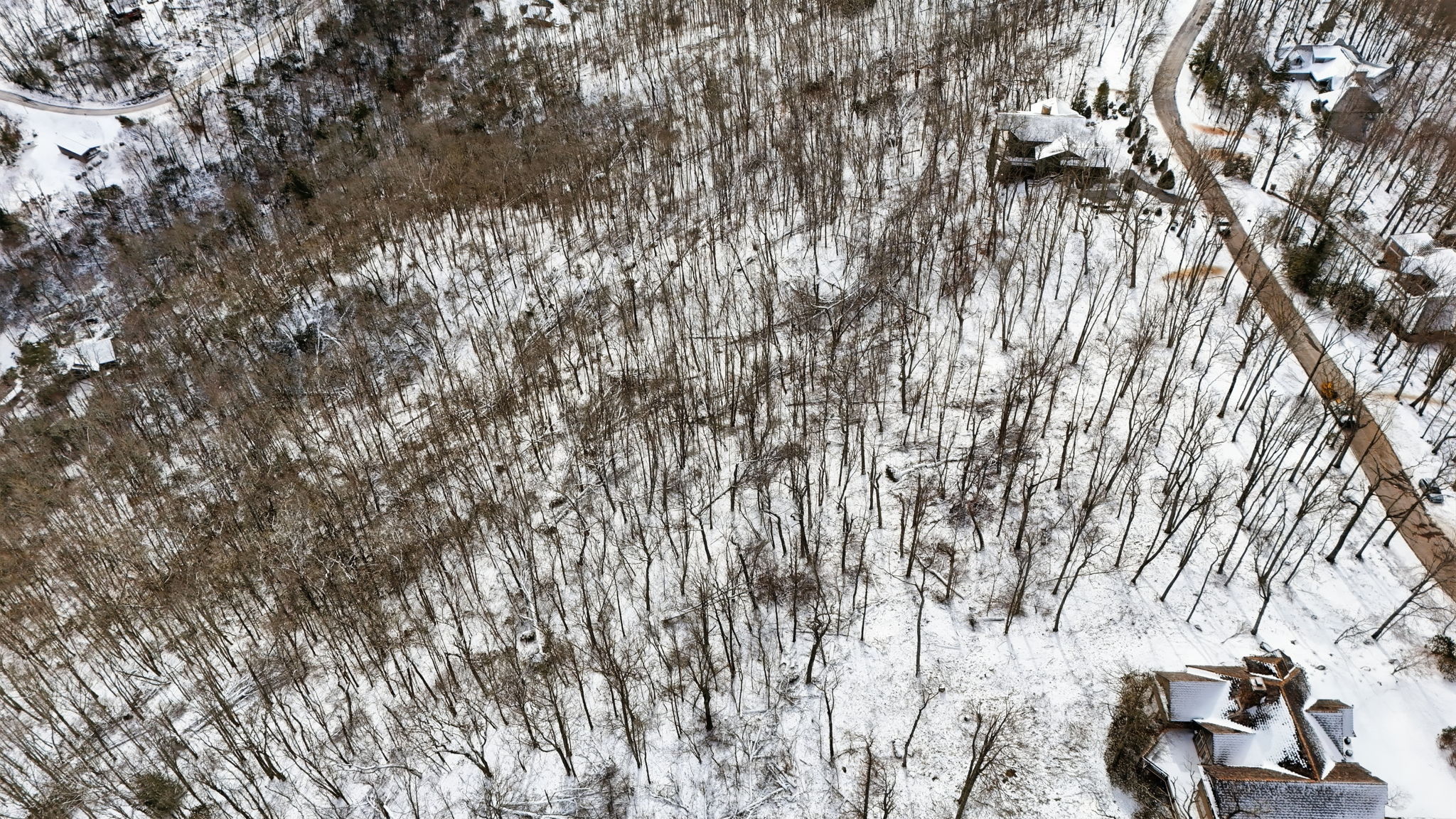 DJI_20260130014444_0300_D