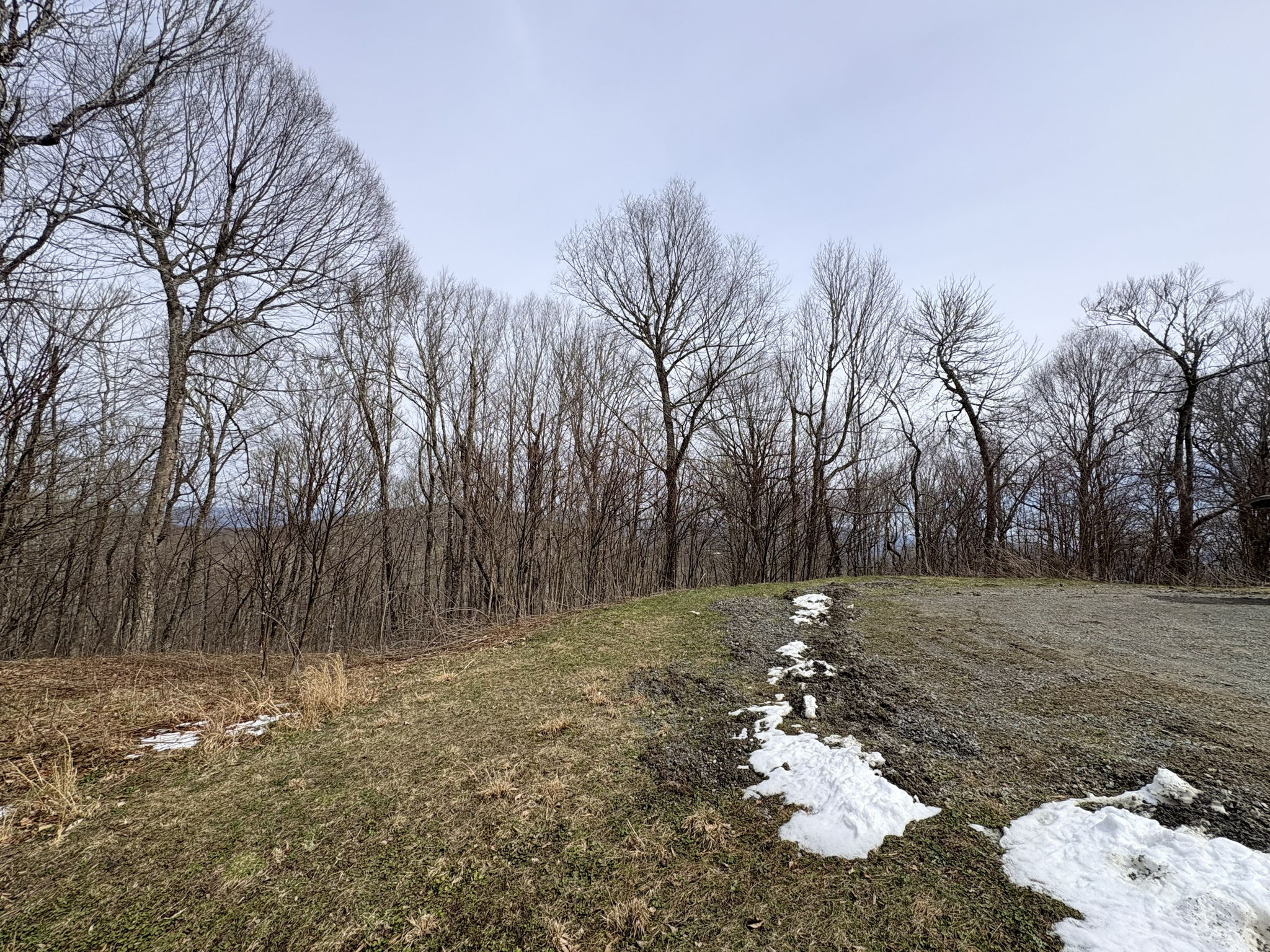 Proposed drivey to Lot 5