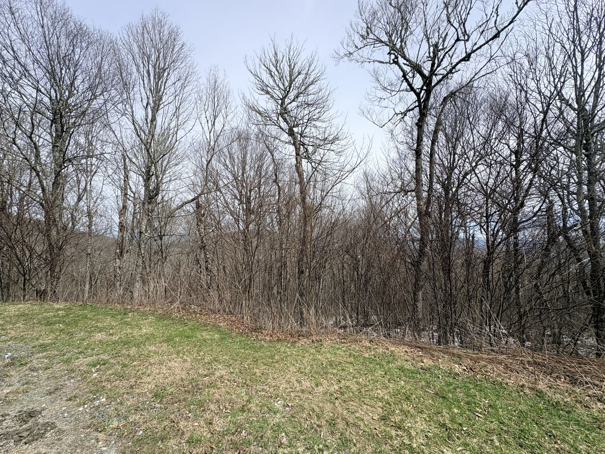 The lay of the lot from street.