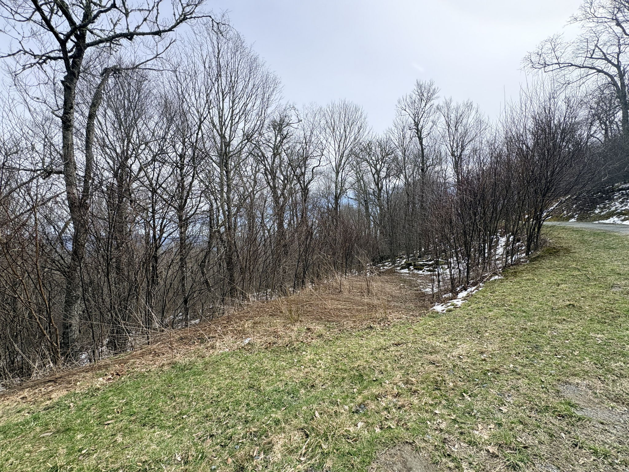 Proposed driveway to lot 6