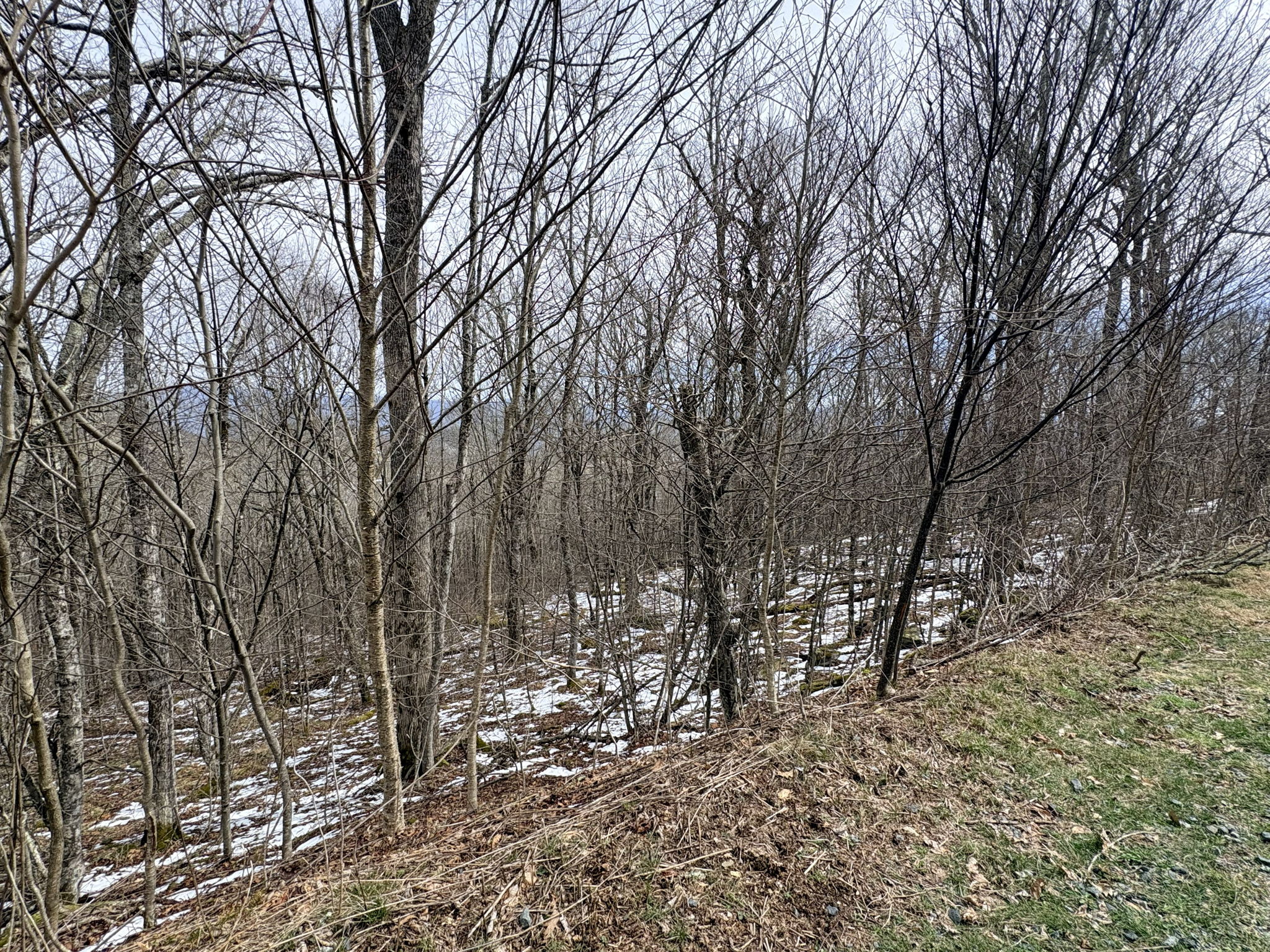 The lay of the land.