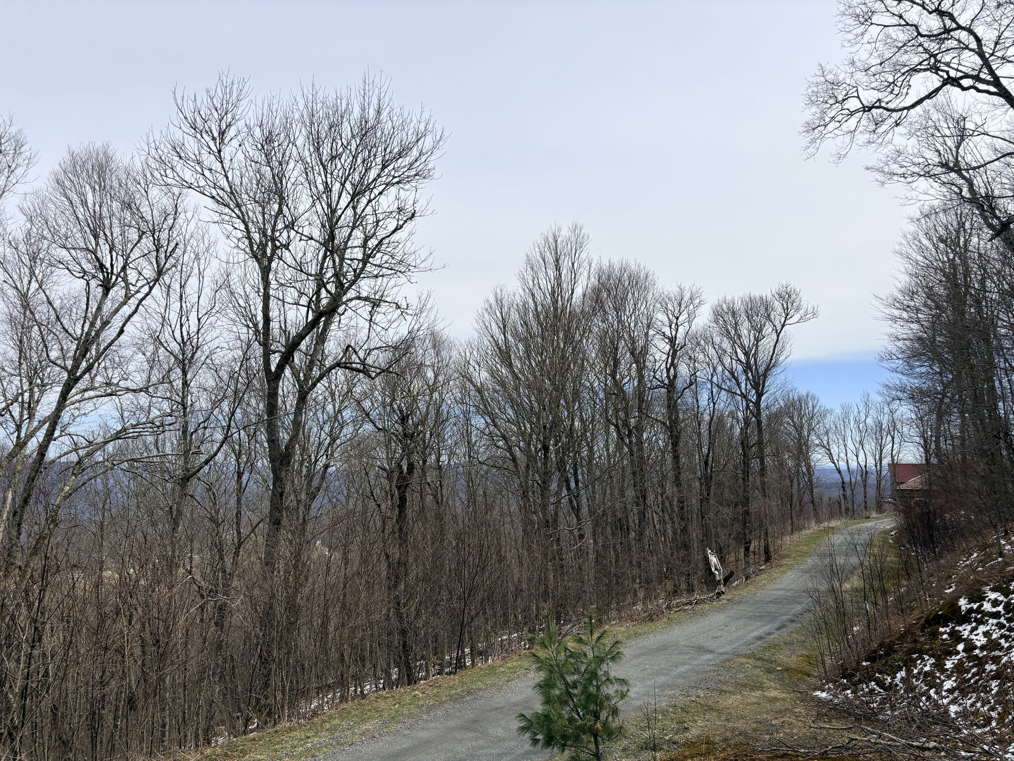 Views from across lots