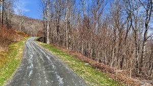 DJI_20260328231647_0986_D