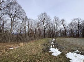 Proposed drivey to Lot 5