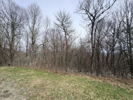 The lay of the lot from street.