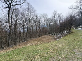 Proposed driveway to lot 6