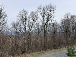 Overlooking to potential views of lots