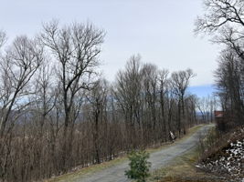 Views from across lots