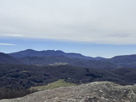 Views from Community area