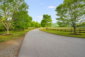 Neighborhood entry road with fence and trees