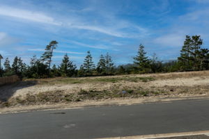  Photo 0