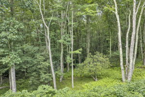  Photo 36