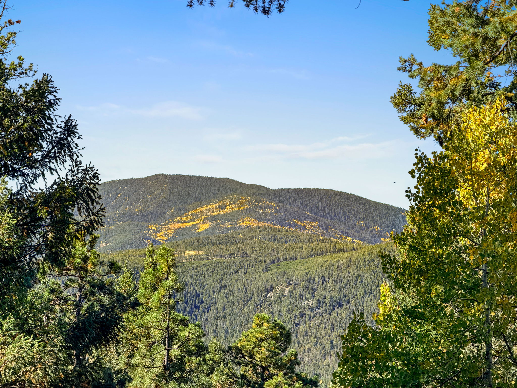 Stunning Setting for your custom home
