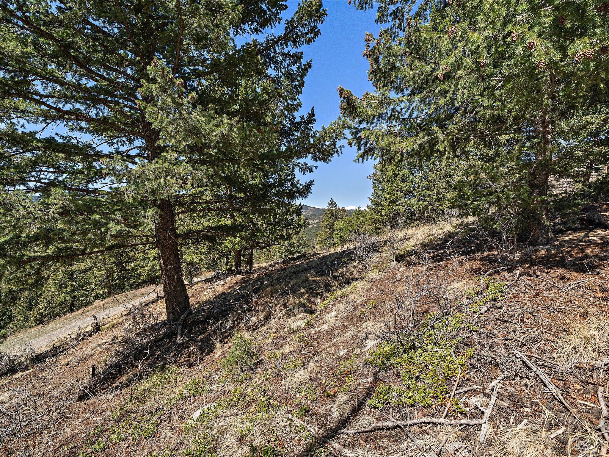 South and West facing slopes